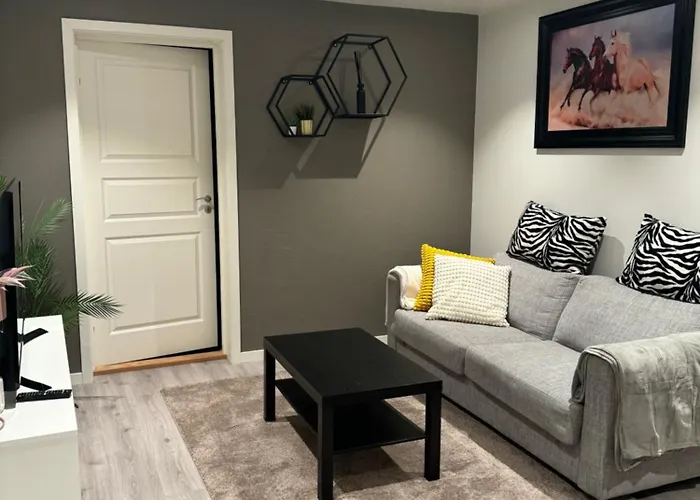 Home For Your Trip 10 Minutes From Oslo Airport With Free Parking